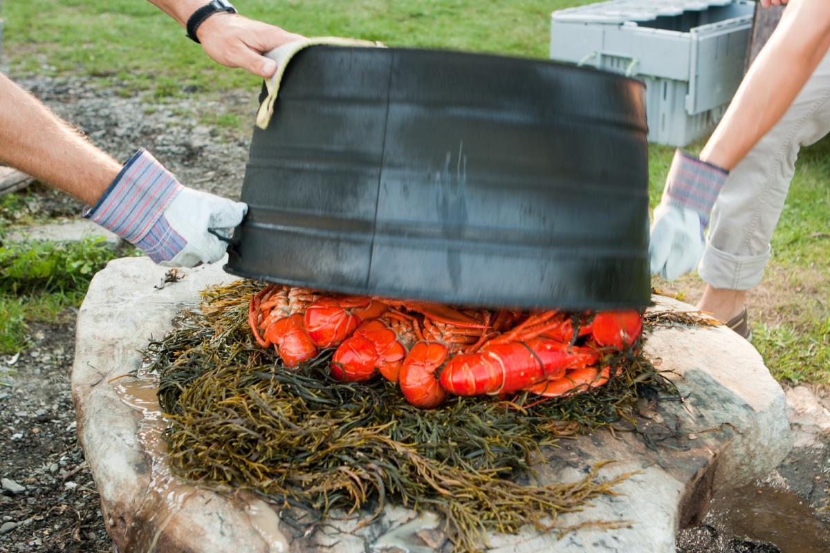 Island Lobster Bake